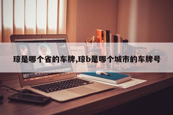琼是哪个省的车牌,琼b是哪个城市的车牌号