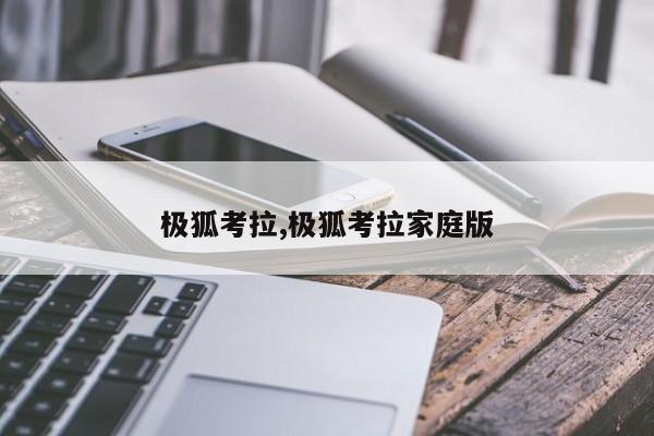 极狐考拉,极狐考拉家庭版