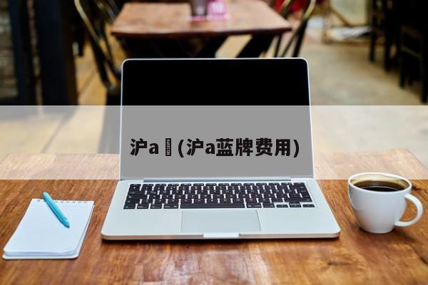 沪a︰(沪a蓝牌费用)