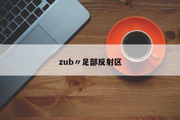 zub〃足部反射区