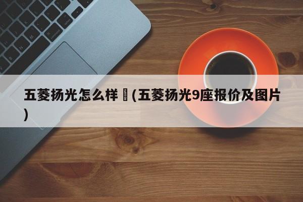 五菱扬光怎么样︰(五菱扬光9座报价及图片)