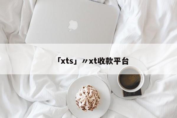 「xts」〃xt收款平台