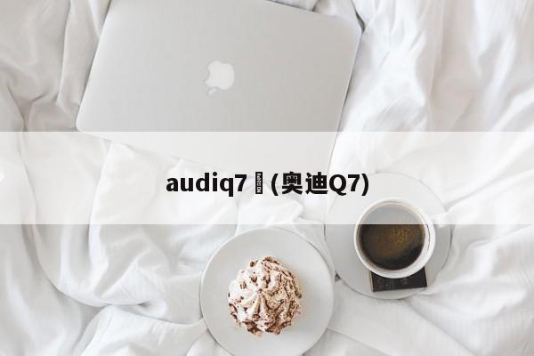 audiq7︰(奥迪Q7)